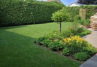 Zakładanie Ogrodów PR Garden Robert Celmer